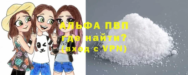 крисы Абаза