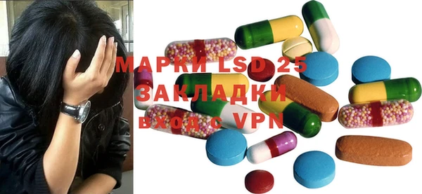 крисы Абаза