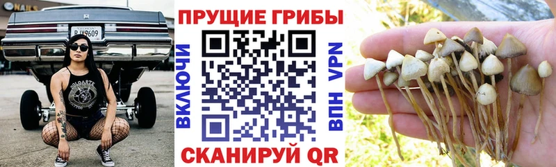 mega ссылки  Адыгейск  Галлюциногенные грибы MAGIC MUSHROOMS 